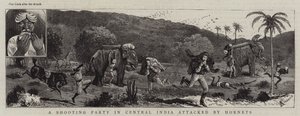 A Shooting Party in Central India Attacked by Hornets