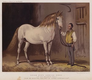 Cream State Carriage Horse, of Her Majesty