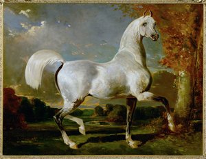Arab Thoroughbred by Alfred Dedreux or de Dreux
