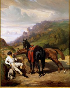 White lad and his horses