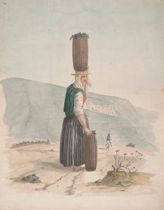 Charcoal Seller, Tenerife