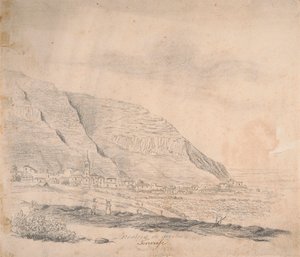 Realejo de arriba, Tenerife by Alfred Diston