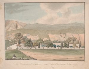 The Botanical Garden near Port Orotava, Tenerife by Alfred Diston