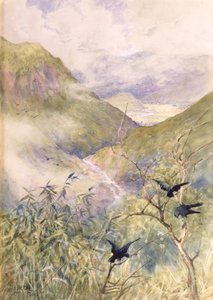 Looking Over the Lilies: The Valley of Nikko Looking Eastwards Towards the Province of Shimo-no-Tsuke by Alfred East