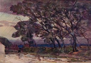 A Stormy Evening