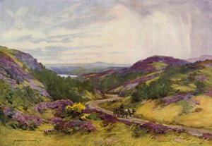 Denmark: Raebild Hills, near Aalborg by Alfred Heaton Cooper