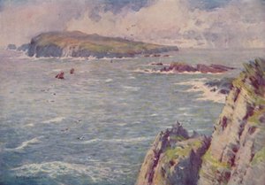 The Calf of Man