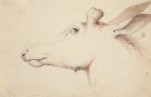 Elk, c.1837 by Alfred Jacob Miller