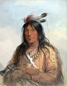 Head of "Matau-Tathonca," "Bull Bear" - an Ogillalah [sic] by Alfred Jacob Miller