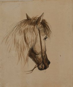 Head of a Horse by Alfred Jacob Miller