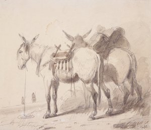 Mule Equipment, c.1837 by Alfred Jacob Miller