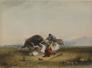 Pierre and the Buffalo by Alfred Jacob Miller
