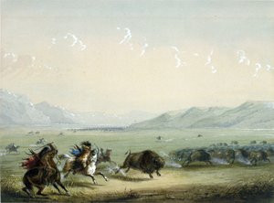 Running Buffalo by Alfred Jacob Miller