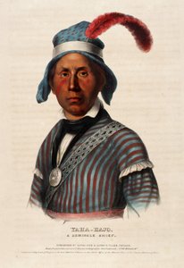 Yaha-hajo, A Seminole Chief by Alfred M. Hoffy