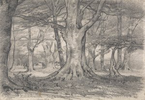 A Forest Landscape near Boldrewood by Alfred Parsons