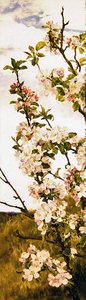 Apple blossom by Alfred Parsons