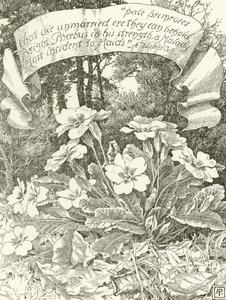 Pale Primroses by Alfred Parsons