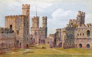 Carnarvon Castle, Interior