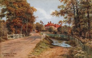Fernhill Lane, New Milton