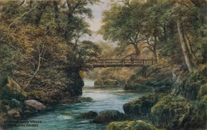 Llandrindod Wells, The Alpine Bridge
