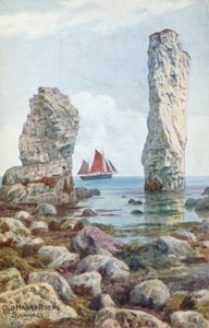 Old Harry Rocks, Swanage by Alfred Robert Quinton