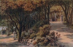 Shady Walks, Spa Pavilion Gardens, Felixstowe