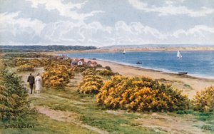 Studland Bay