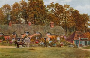 Swan Green, Lyndhurst by Alfred Robert Quinton
