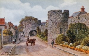 Tenby, Walls and Five Arches by Alfred Robert Quinton