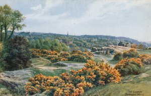 The Common, Tunbridge Wells by Alfred Robert Quinton
