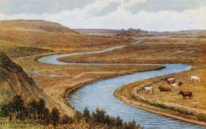 The Cuckmere Valley, Seaford by Alfred Robert Quinton