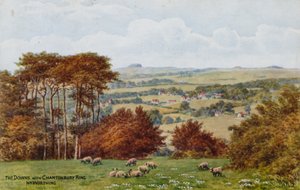 The Downs with Chantonbury Ring, Nr Worthing