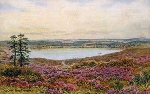 The Great Pond, Frensham