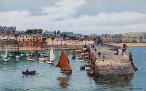 The Harbour, Paignton