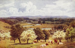 The Vale of Evesham