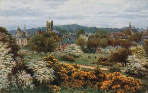 Tunbridge Wells from The Common