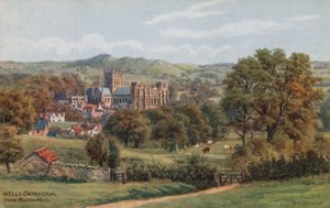 Wells Cathedral from Milton Hill