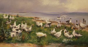 Geese by Alfred Schonian