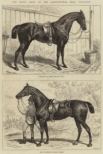 The Horse Show at the Agricultural Hall, Islington