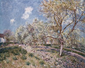 Spring at Veneux