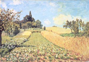 Wheat Field by Alfred Sisley