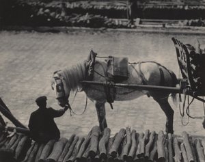 A Snapshot, Paris by Alfred Stieglitz