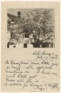 Apple Blossoms by Alfred Stieglitz