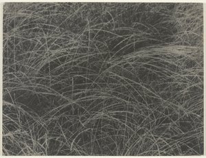 Equivalent by Alfred Stieglitz