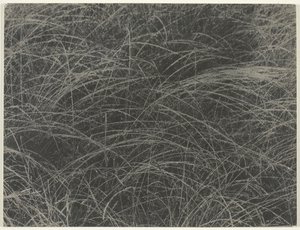 Equivalent by Alfred Stieglitz