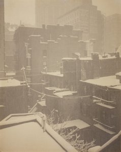 From the Back-Window 291