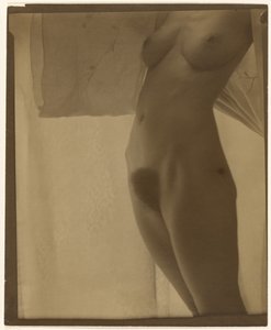 Torso by Alfred Stieglitz