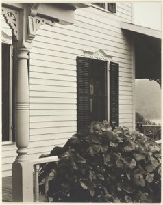 House and Grape Leaves