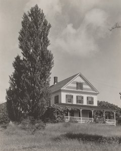 House on the Hill, Lake George by Alfred Stieglitz