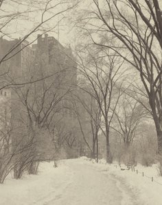 In the Park